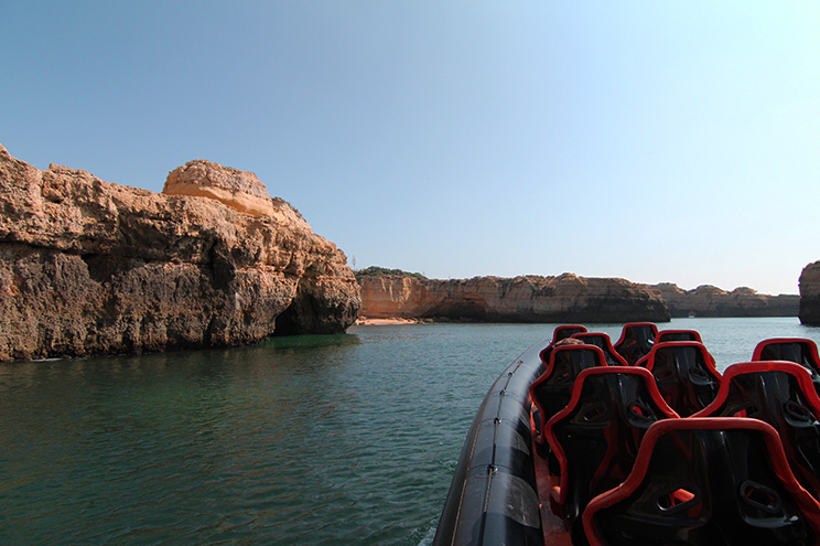 Algarve Coastline Dolphin Tour